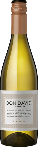 DON DAVID TORRONTES 2025.png