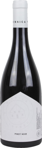 Turnau Pinot Noir 2022.png