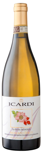 ICARDI MOSCATO D`ASTI LA ROSA SELVETICA 750ML (1).png
